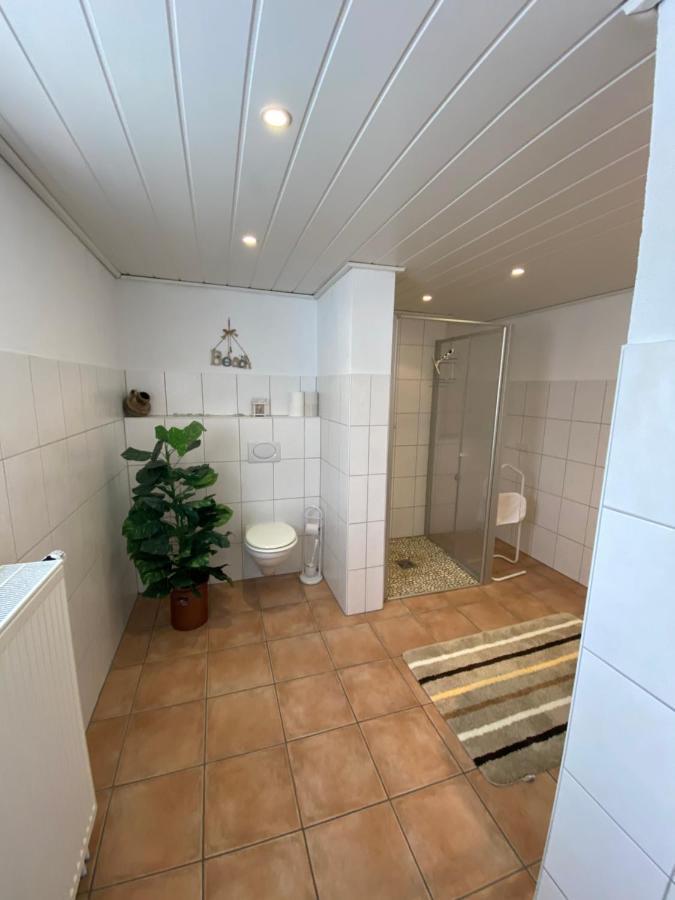 Ferienwohnung-Gasthaus Zum Ross Erlenbach am Main Bagian luar foto